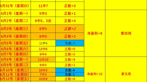 阿根廷甲焦点对决，关键战意终极指南：阿根廷甲大战深度解析